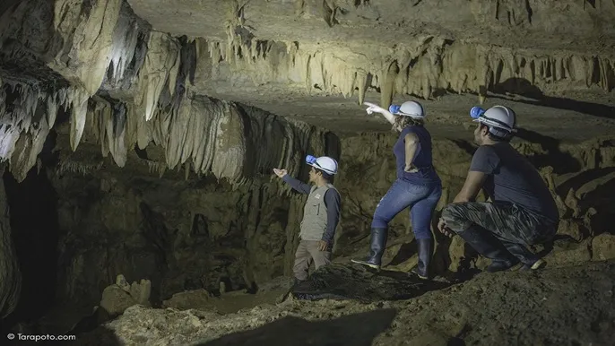 Cueva Palestina