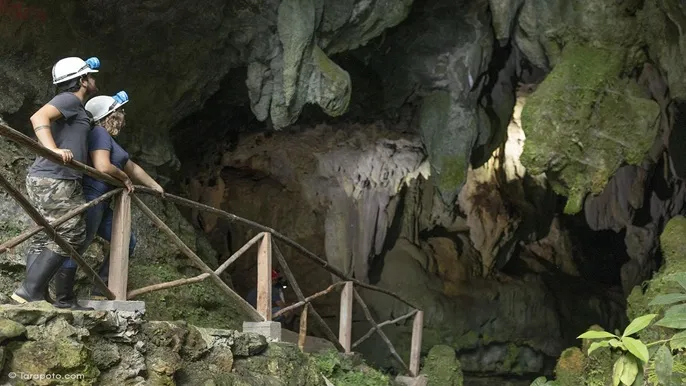 Cueva Palestina