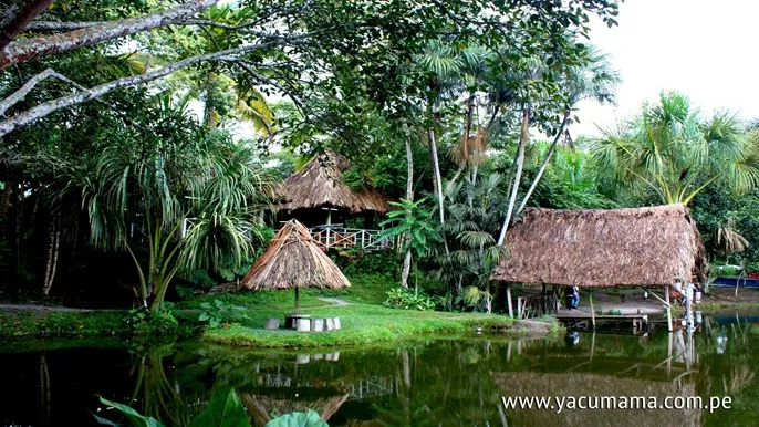 Completo Turistico Yacumama